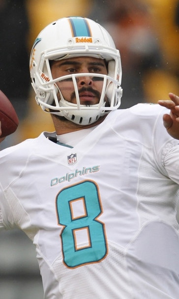Who is Dolphins QB Matt Moore?